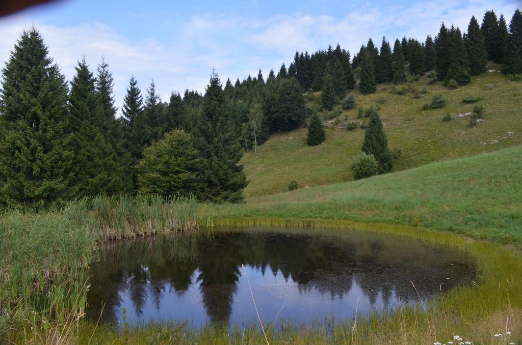 Rifugio Pranolz Ξενοδοχείο Trichiana Εξωτερικό φωτογραφία