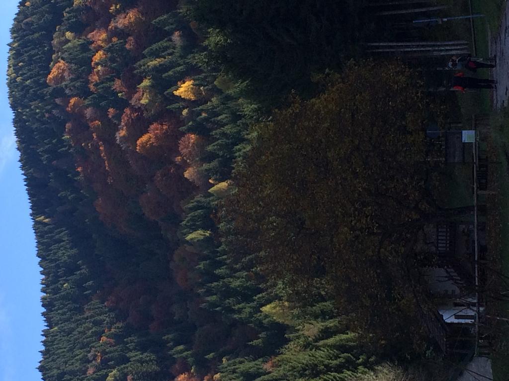 Rifugio Pranolz Ξενοδοχείο Trichiana Εξωτερικό φωτογραφία
